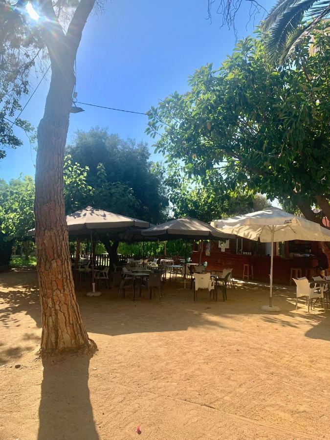 Glp Cabo Beach Alicante Eksteriør bilde